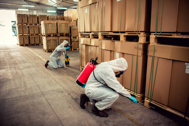 Best Residential Pest Control  in Pecan Grove, TX