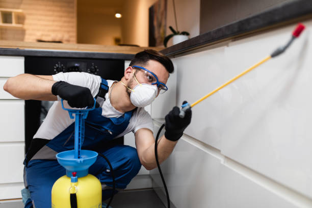 Best Pest Inspection Near Me  in Pecan Grove, TX