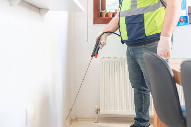 Best Termite Control Services  in Pecan Grove, TX