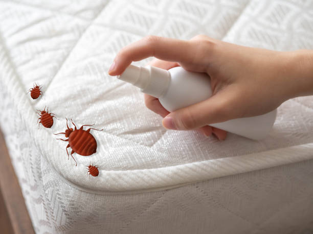 Trusted Pecan Grove, TX Pest Control Experts